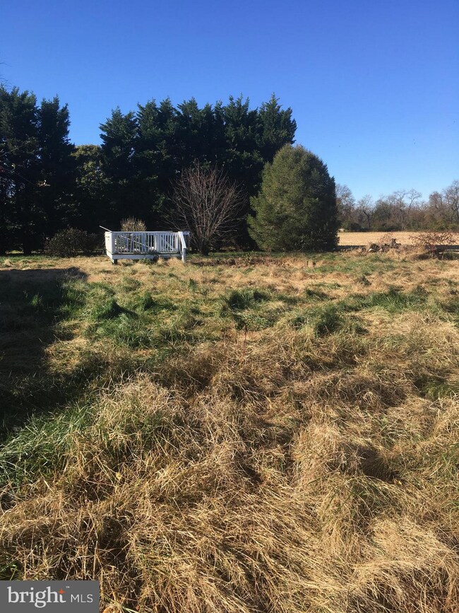 25500 Worton Lynch Rd, Worton, MD 21678 - photo 5