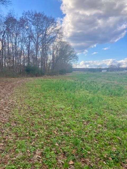 0 Bluff Rd unit RTC3059638, Loretto, TN 38469 - photo 5