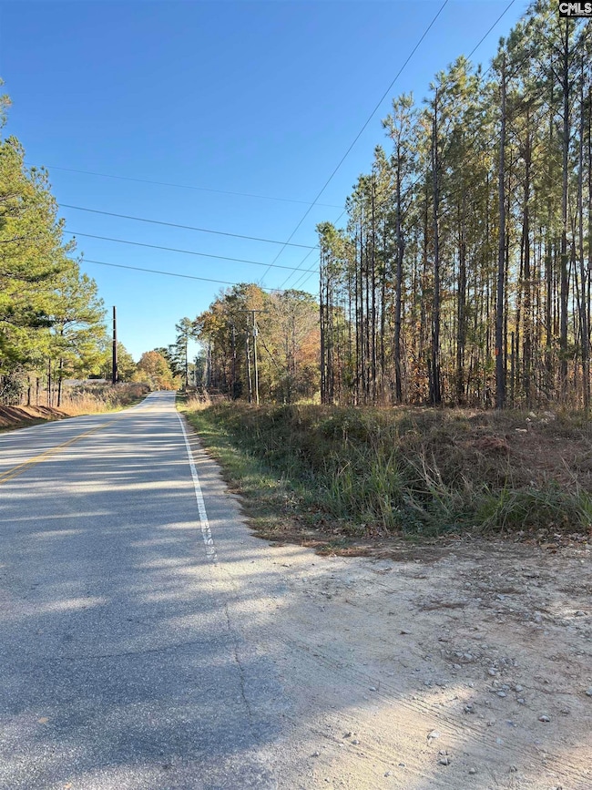 1236 Crane Church Rd, Columbia, SC 29203 - photo 2
