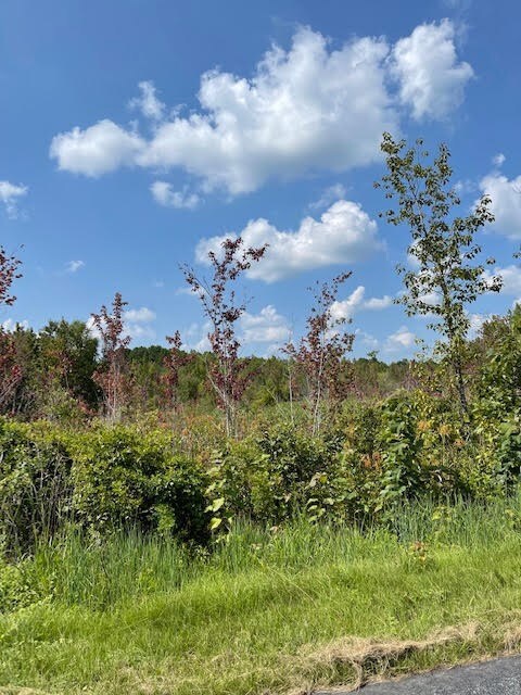 TBD Plat E1171-8, Summerton, SC 29148 - photo 7