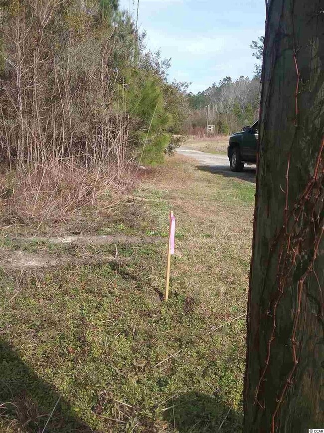 3766 Pee Dee Hwy unit Lot next to 3748 Pee, Conway, SC 29527 - photo 2