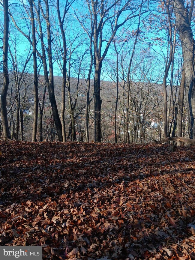 0 Gray Ave unit MDAL2013506, Cumberland, MD 21502 - photo 3