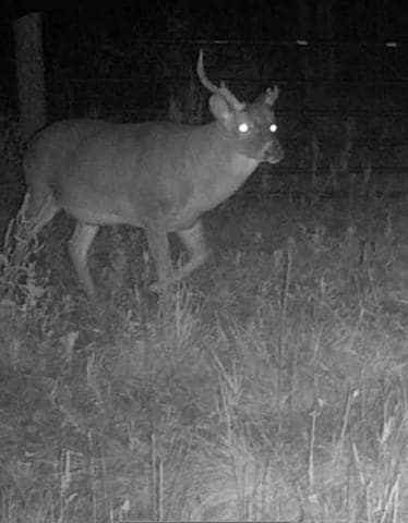 0 Interstate 49, Alexandria, LA 71302 - photo 4