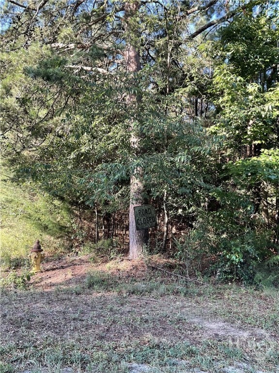 0 Bowers St unit LOT 1-8, Bowman, GA 30624 - photo 3