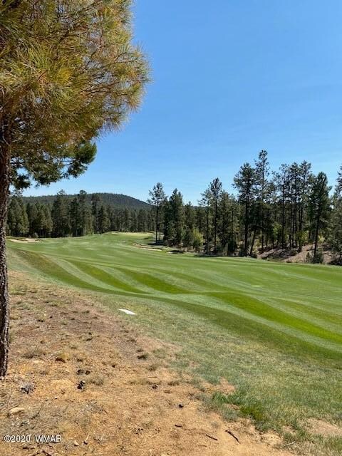 Fairway Views