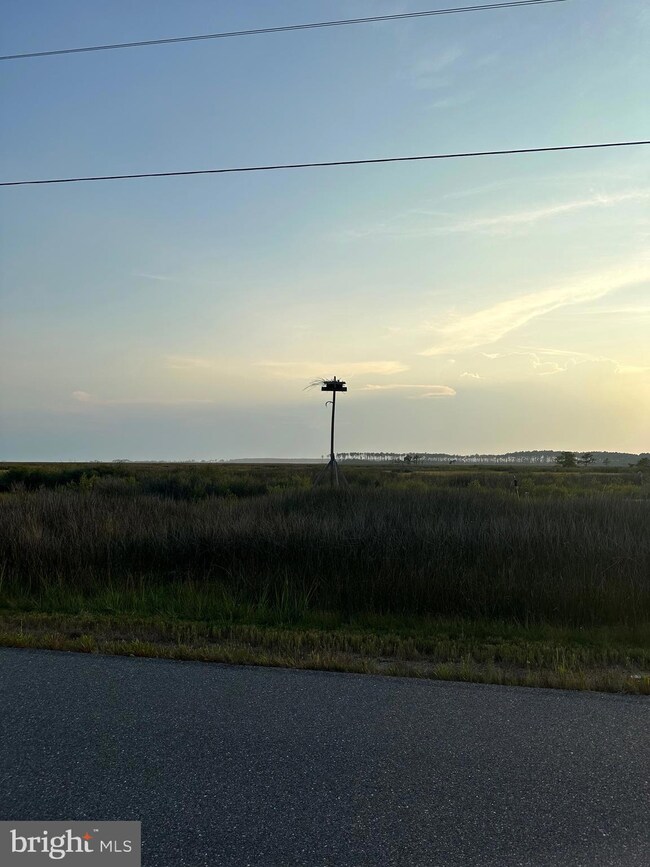 2411 Crapo-Wingate, Crapo, MD 21626 - photo 5