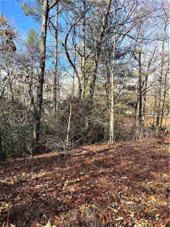 Lay Mill Rd Cowan Prop, Walhalla, SC 29691 - photo 2