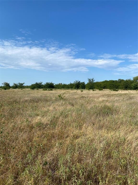 Lot 3 TBD County Rd 4306, Greenville, TX 75401 - photo 6