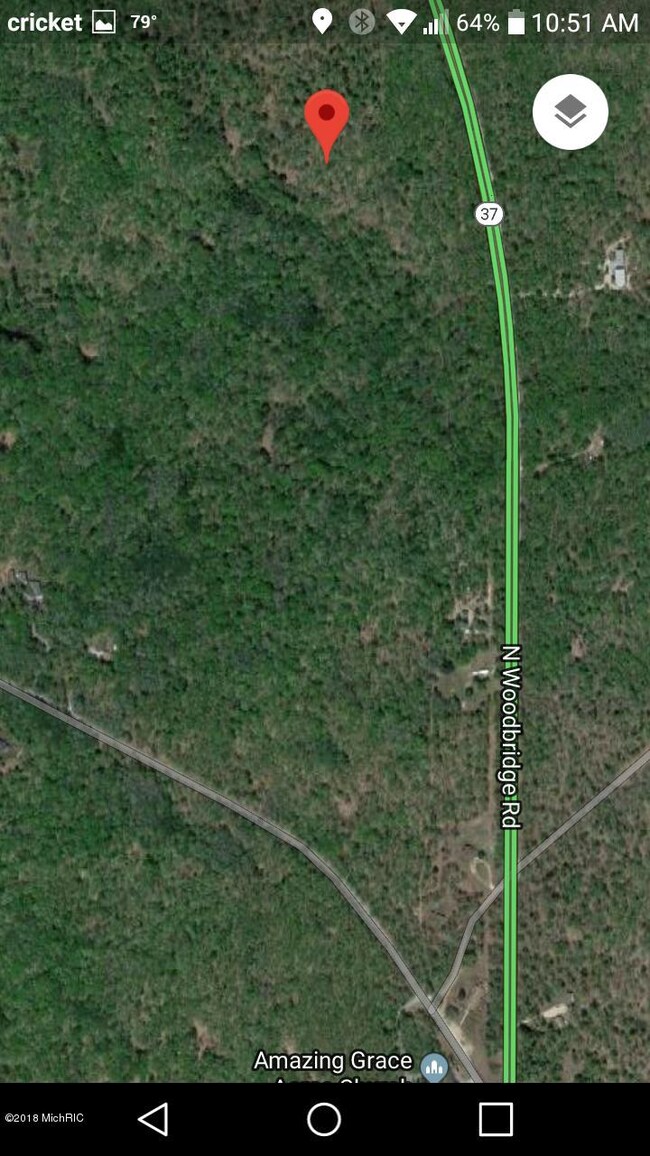 9577 N Woodbridge Rd, Bitely, MI 49309 - photo 2