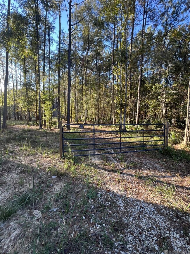 14333 Springfield Rd, Walker, LA 70785 - photo 3