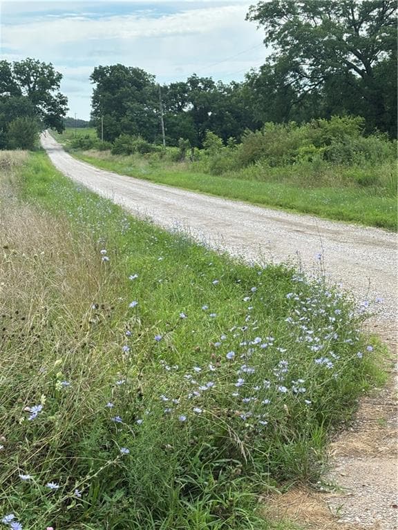 13585 Scott Ln, Pleasanton, KS 66075 - photo 4