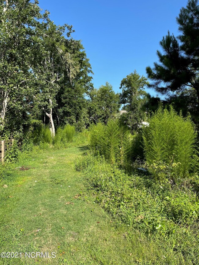 207 Oak Outlook 4