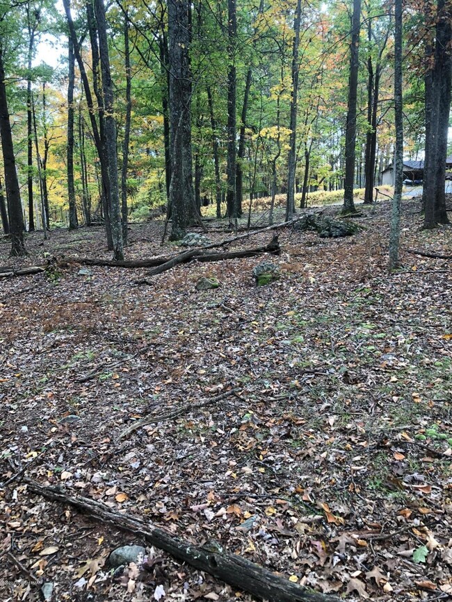 114 Falling Brook Ct, Blooming Grove Township, PA 18428 - photo 4