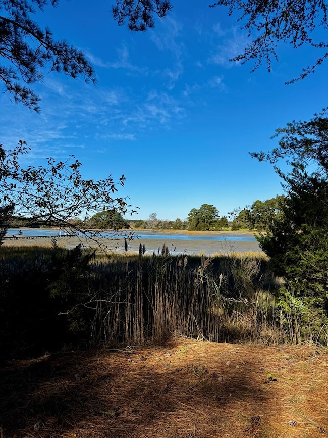 Lot 19 Folly Creek Club Ln unit 19, Accomac, VA 23301 - photo 5