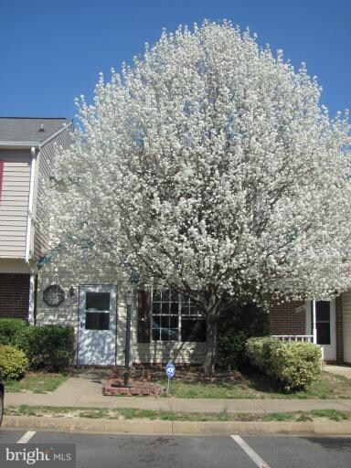 11193 Elwyn Ct, Fredericksburg, VA 22407 - photo 2