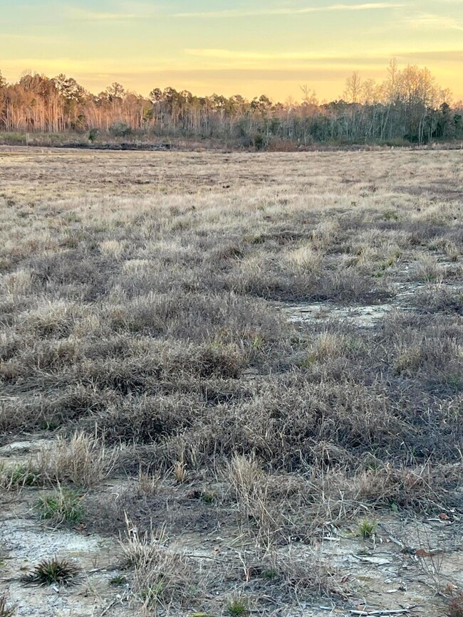 LOT 5 1 AC Patton Creek Rd, Waynesboro, MS 39367 - photo 3