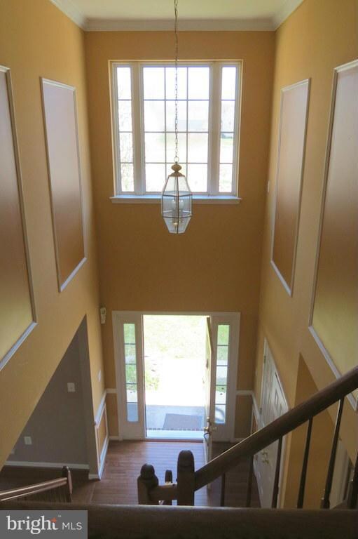 14505 Kathleen Ct, Brandywine, MD 20613 - photo 6