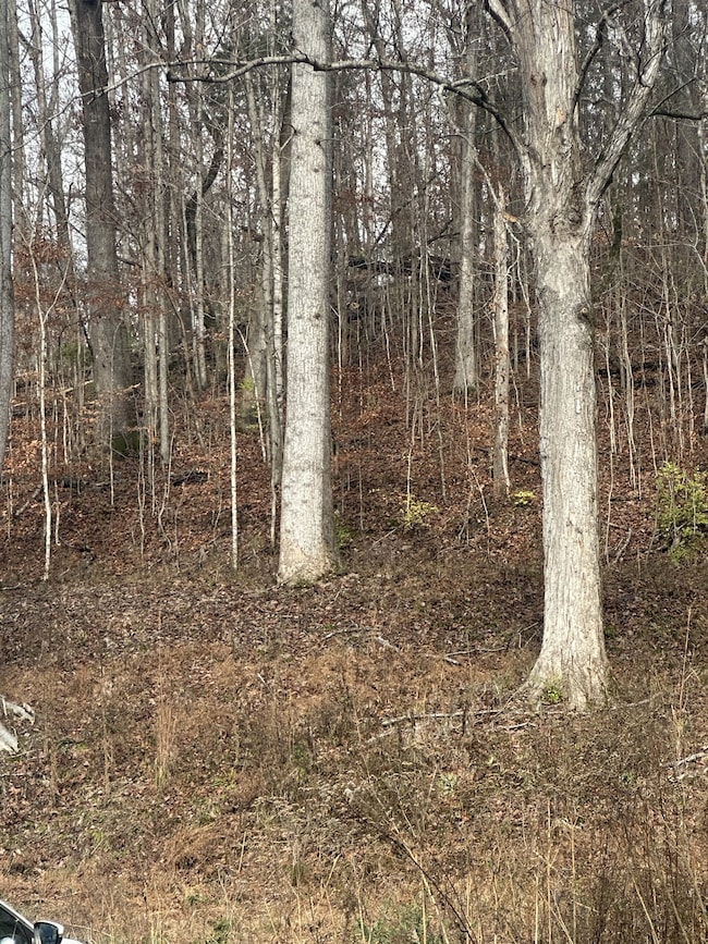 0 Mccrory Ln unit RTC3050258, Nashville, TN 37221 - photo 4