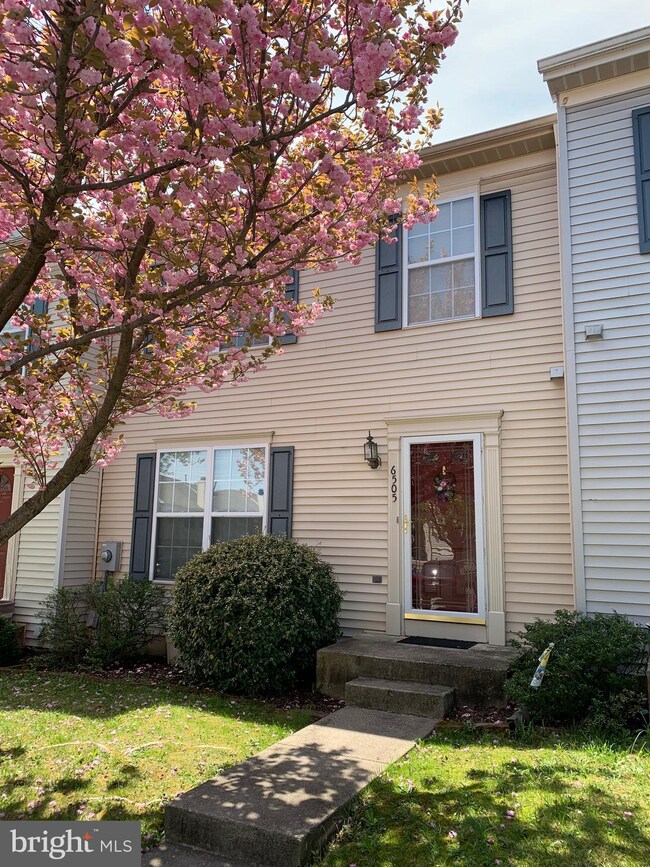 6505 Mallery Ct, Frederick, MD 21703 - photo 4