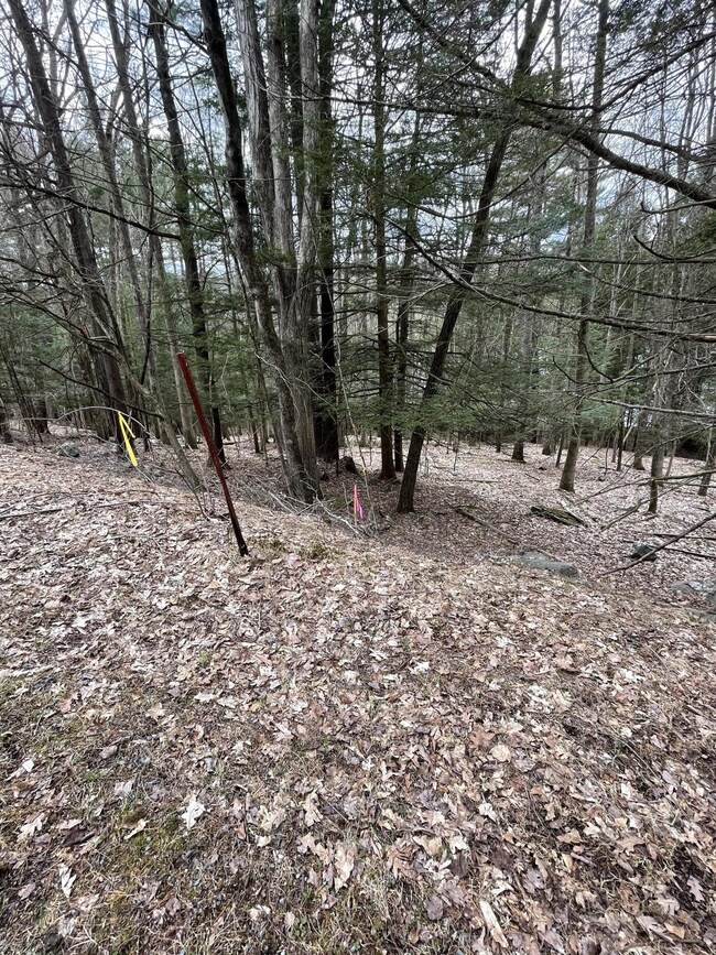lot 10 Woodledge Alley E, Hawley, PA 18428 - photo 7