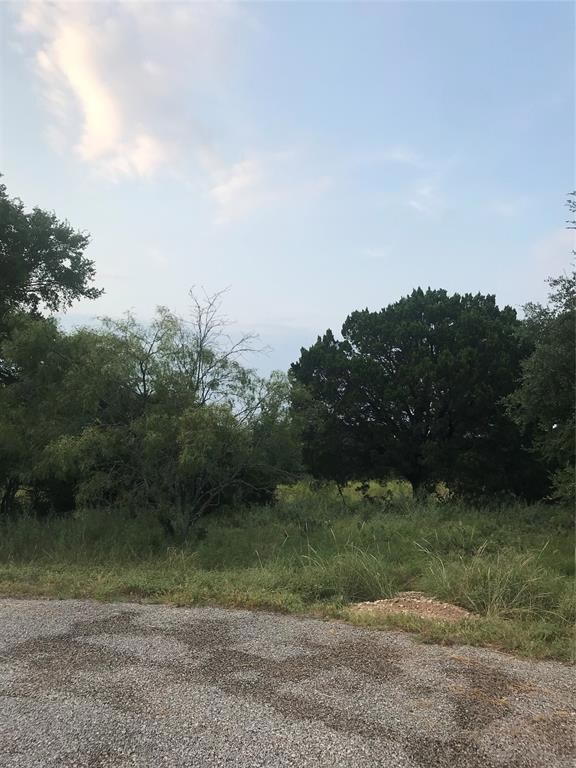 14063 Sandy Oaks Ct, Whitney, TX 76692 - photo 7