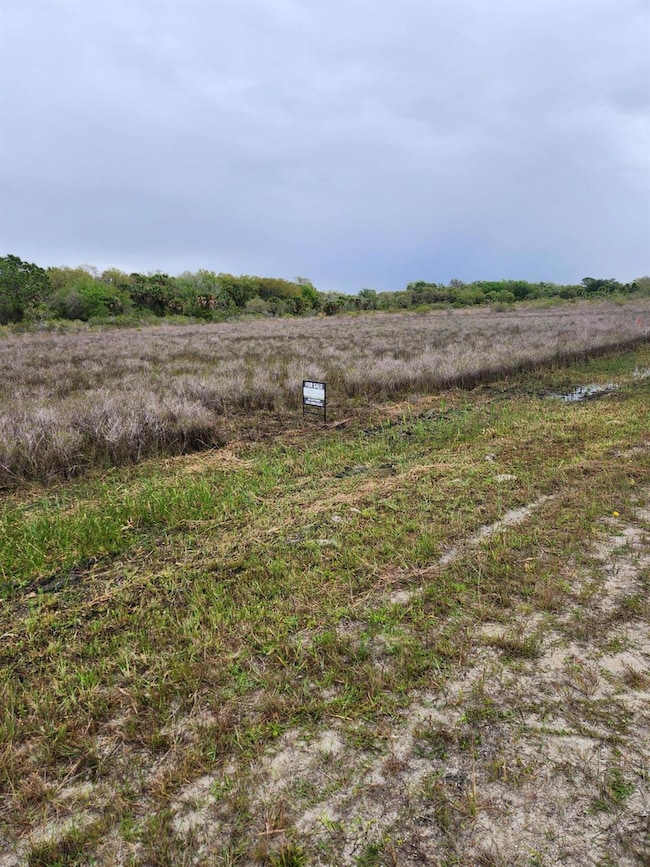 15679 NW 296th St, Okeechobee, FL 34972 - photo 6