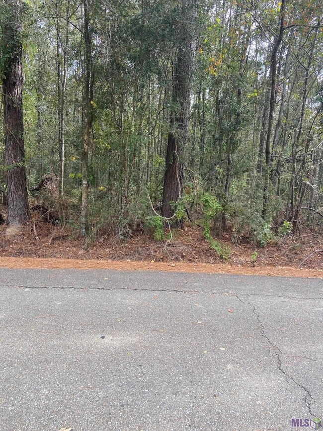 0 Lewis Rd unit 2022016915, Maurepas, LA 70449 - photo 6