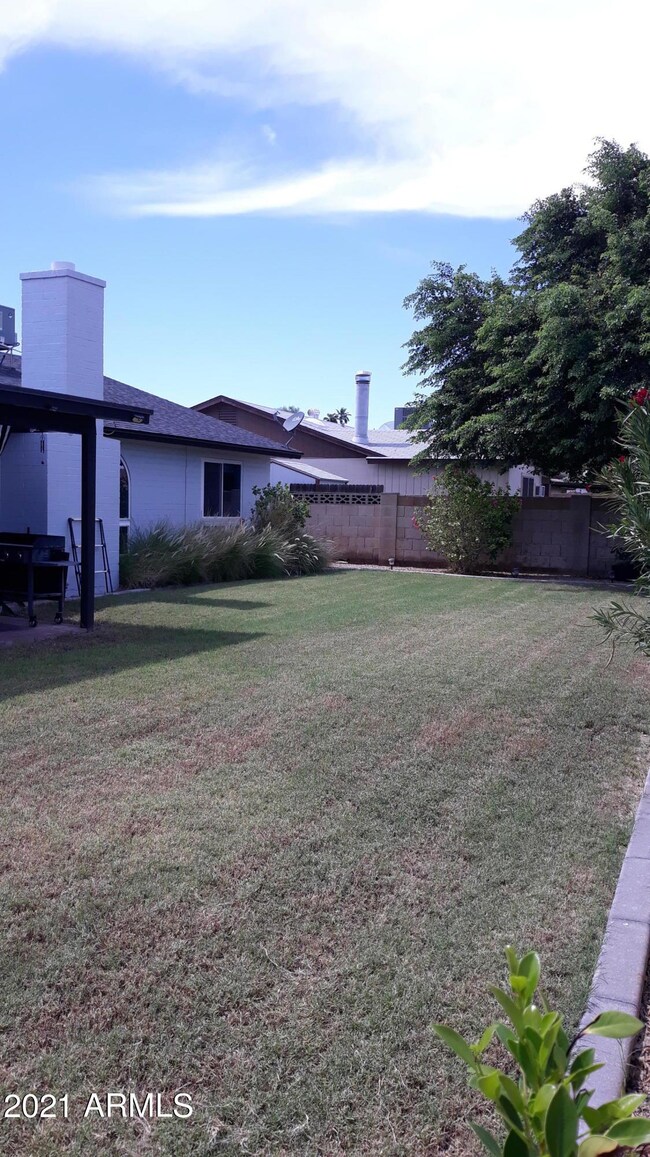 44th Backyard