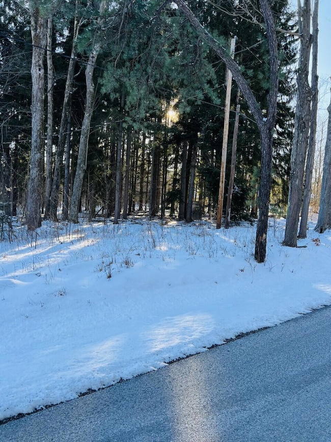 0 German Settlement Rd, Ridgway, PA 15853 - photo 2