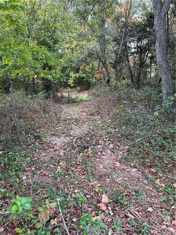 0 Clevelys Ln unit 1259279, Bella Vista, AR 72715 - photo 3