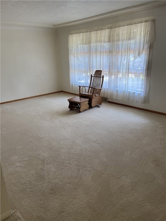 12509 Herold Dr, Irwin, PA 15642 - photo 7