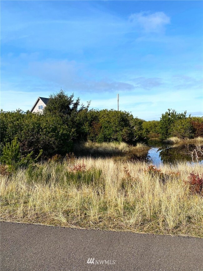 438 S Bel Air Loop SW, Ocean Shores, WA 98569 - photo 4