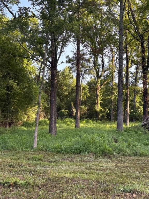 2824 Damask Ln, Alma, AR 72921 - photo 5