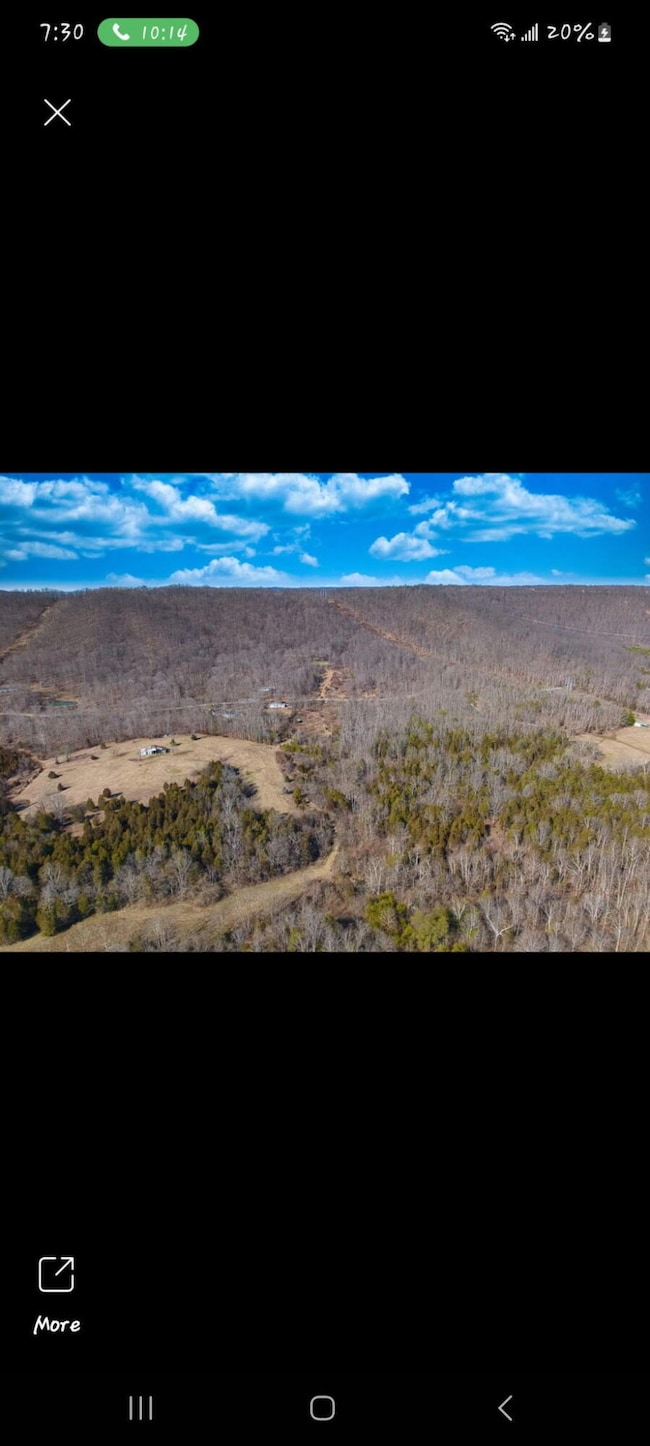 1112 Covered Bridge Rd, Wallingford, KY 41093 - photo 3