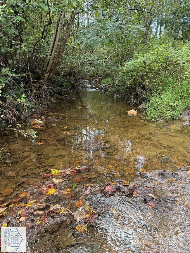 7180 Henry Rd, Henry, VA 24102 - photo 5