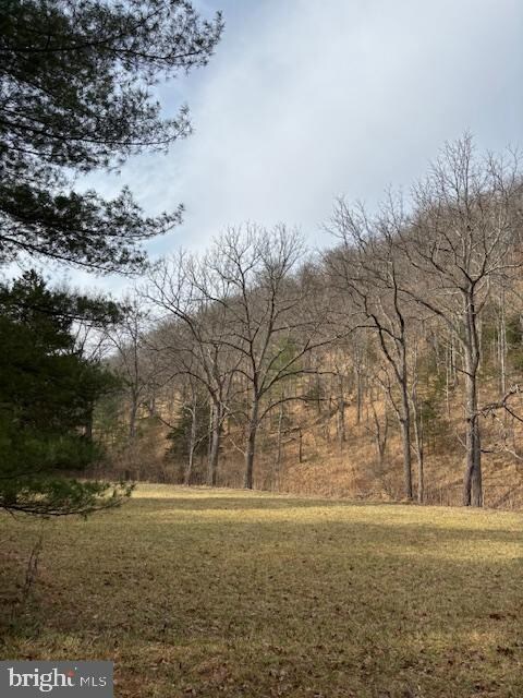 Lot 14 Wildlife Dr, Lost City, WV 26810 - photo 4