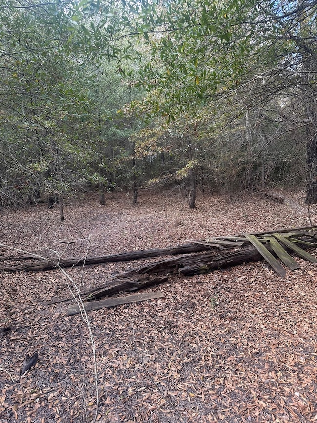 0 Fm 645 unit 10982756, Palestine, TX 75803 - photo 5