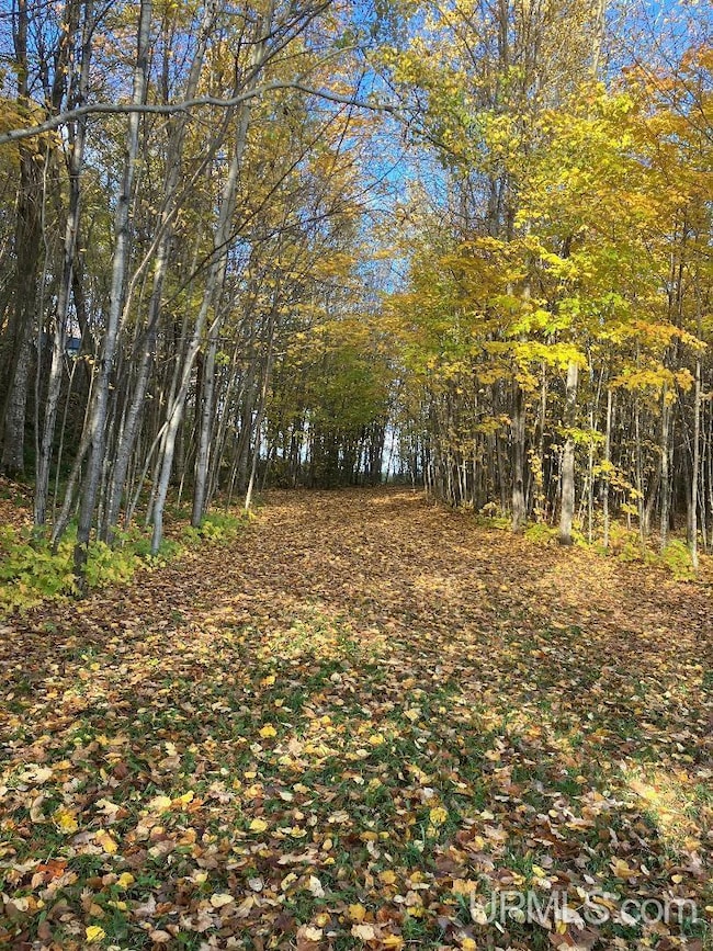 Parcel 155 Shore Dr, Onota Township, MI 49806 - photo 4