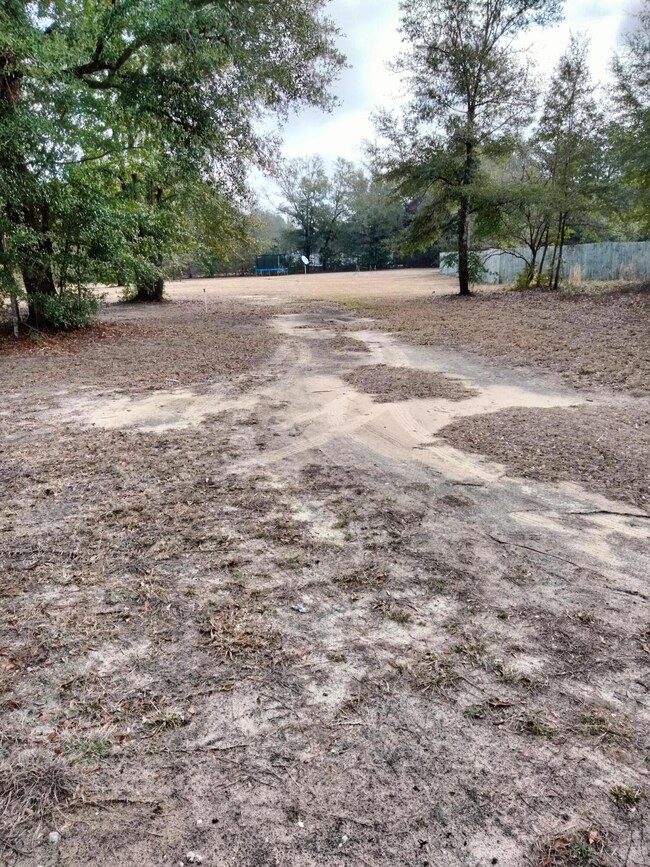 pic1