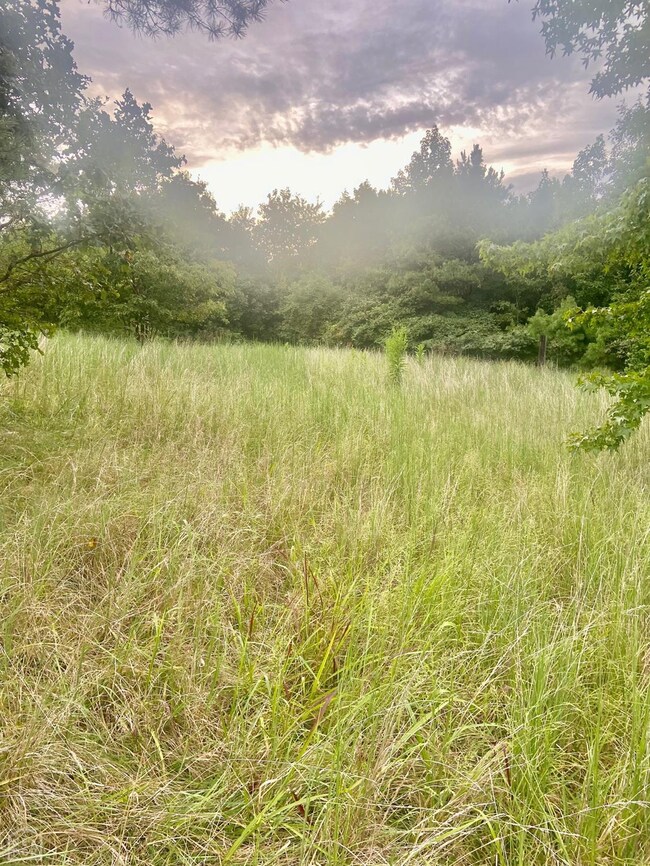 2053 Greene 624 Rd, Paragould, AR 72450 - photo 5