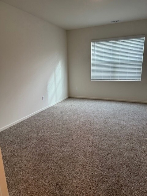 1122 Williamsburg St, Pingree Grove, IL 60140 - photo 6