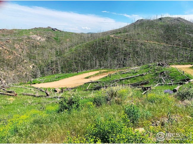 1500 Whale Rock Rd, Bellvue, CO 80512 - photo 7