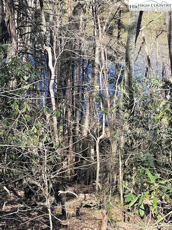 TBD Spruce Ln, Crumpler, NC 28617 - photo 6