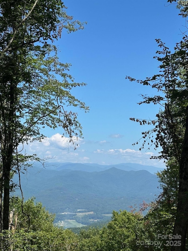 00 Falls View Rd unit 70, Bryson City, NC 28713 - photo 2