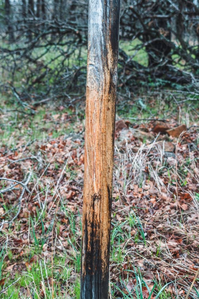 1121 Cr 2440, Havana, KS 67347 - photo 6