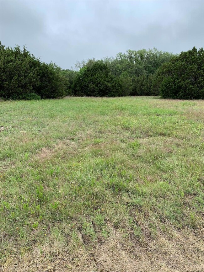 3041 Deer Ct, Weatherford, TX 76085 - photo 4