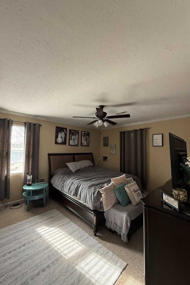 219 Tator Nob Rd, Liberty, TN 37095 - photo 4