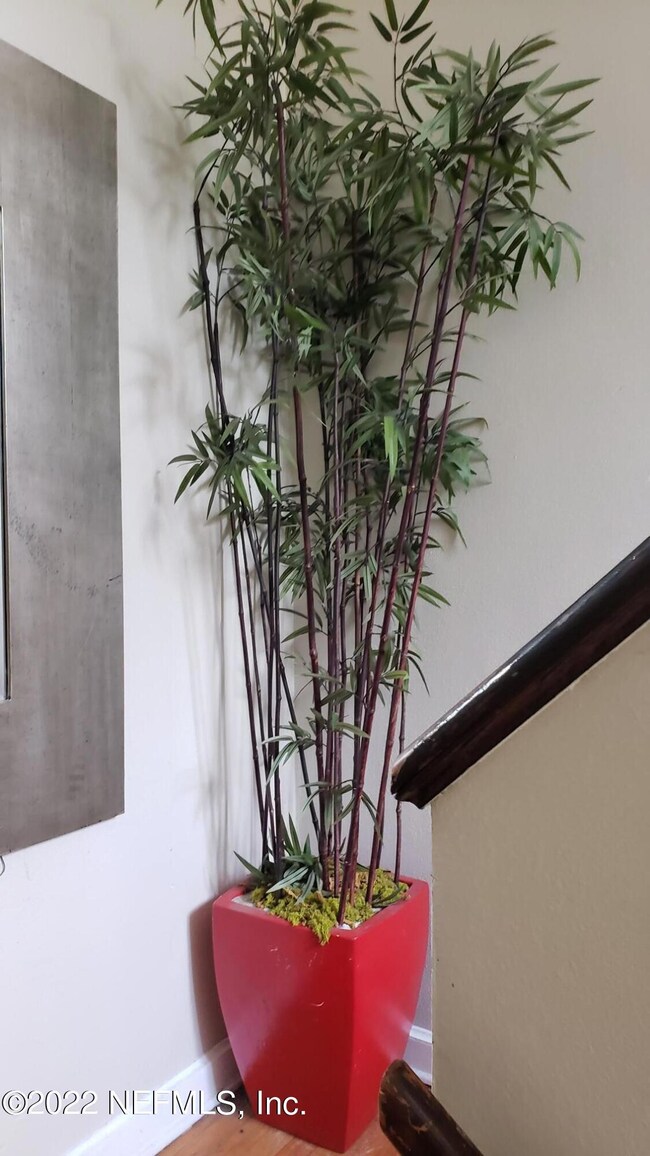 3018 Oak St, Jacksonville, FL 32205 - photo 3