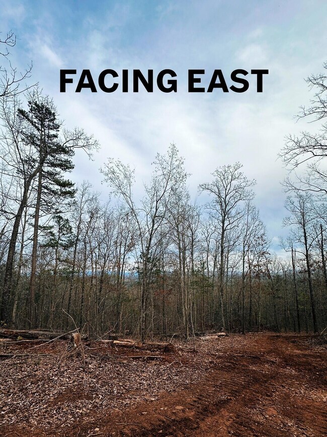 East at Daybreak