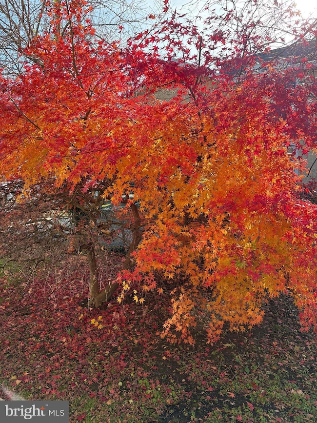 7330 Sycamore Ave unit 2, Elkins Park, PA 19027 - photo 2